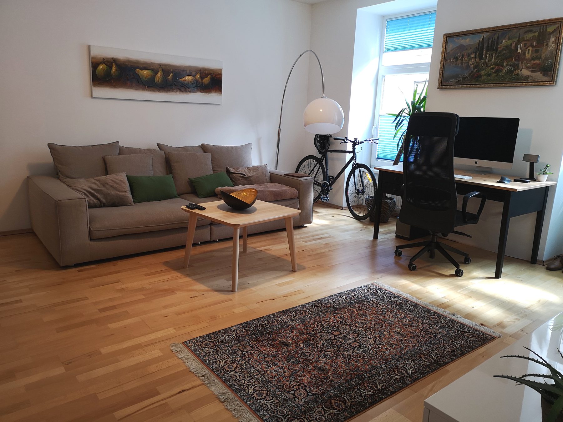 Viriotgasse Apartment